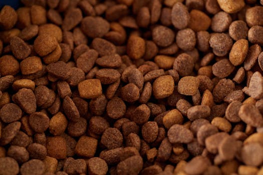 Hill's Science Diet Adult Urinary Hairball Control